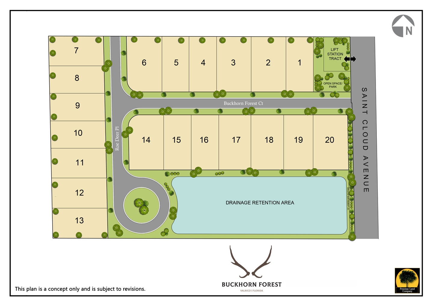 Buckhorn Forest Concept